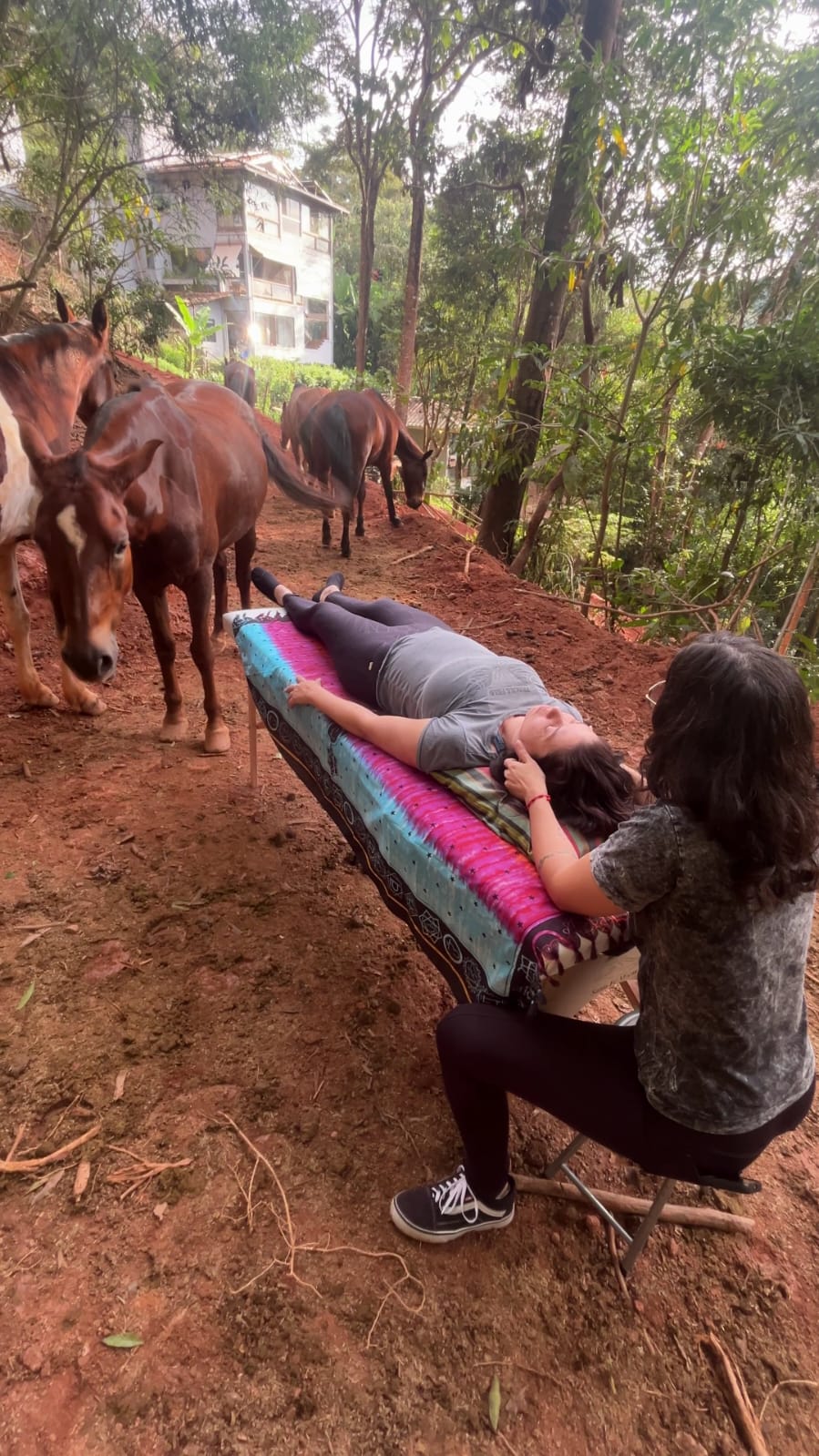Mulher deitada recebendo um toque calmo, com cavalos se aproximando ao redor
