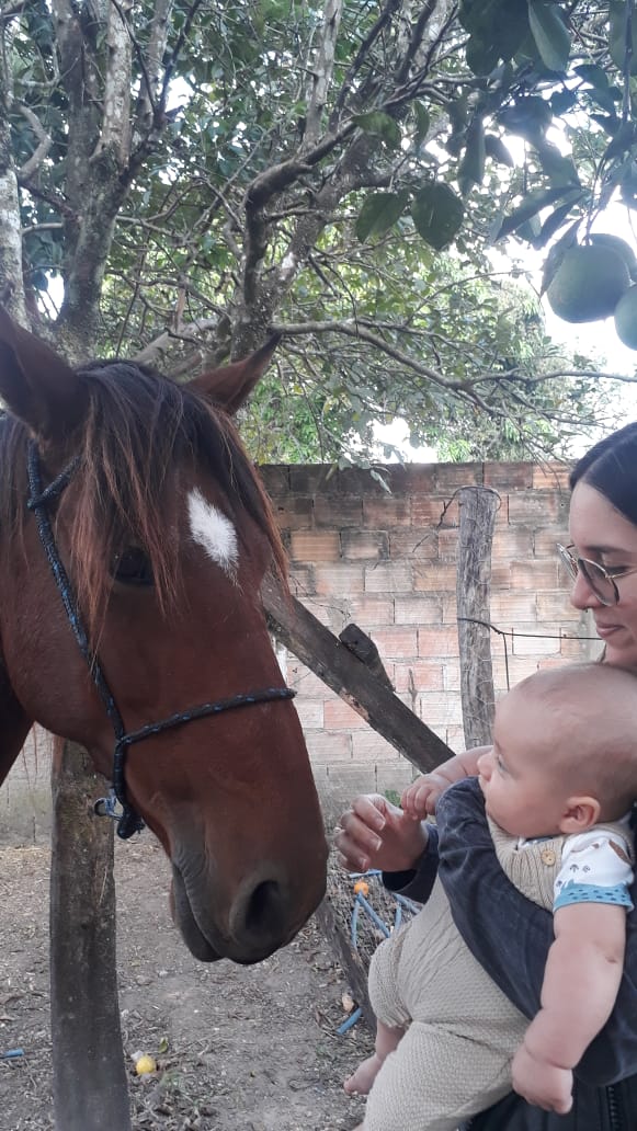 Mão suave se aproximando do focinho de um cavalo, em meio à natureza
